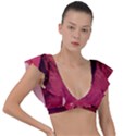Manipulation Fantasy Photoshop Plunge Frill Sleeve Bikini Top View1