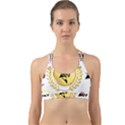 Lux2 Back Web Sports Bra View1