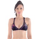 Aquarium by Traci K Plunge Bikini Top View1