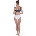 Pattern Texture Feet Dog Grey Bandaged Up Bikini Top View2