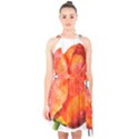 Tulip watercolor Red and black stripes Halter Collar Waist Tie Chiffon Dress View1