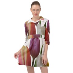 Tulips Spring Bouquet Mini Skater Shirt Dress