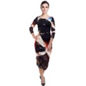 Egg In The Duck 4 Quarter Sleeve Midi Velour Bodycon Dress View1