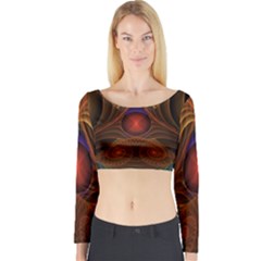 Fractal Fantasy Design Swirl Long Sleeve Crop Top