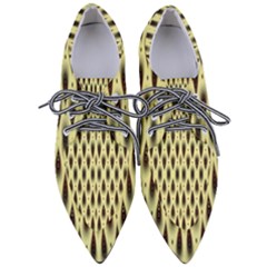 Mirrors Pointed Oxford Shoes