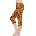 RBY-C-5-6 Capri Leggings  View3