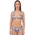 Golden Fishes Double Strap Halter Bikini Set View1