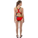 SERIPPY Cut-Out Back One Piece Swimsuit View2