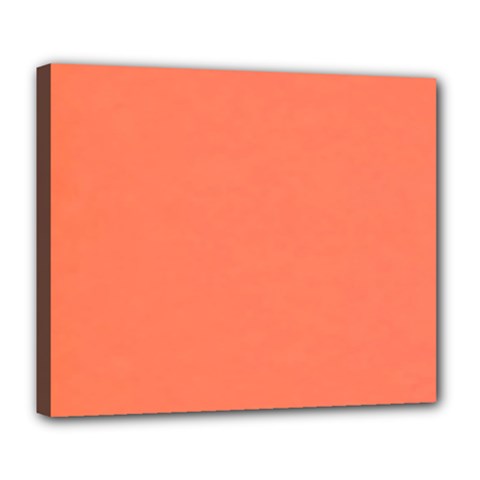 Appreciating Apricot Deluxe Canvas 24  X 20  (stretched)