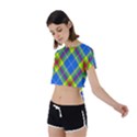 Clown Costume Plaid Striped Tie Back Short Sleeve Crop Tee View2