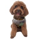 Digital Geometry Dog Sweater View1