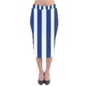 Navy in Vertical Stripes Velvet Midi Pencil Skirt View1
