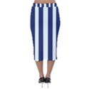 Navy in Vertical Stripes Velvet Midi Pencil Skirt View2