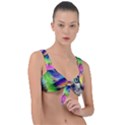 Rainbowcat Front Tie Bikini Top View1