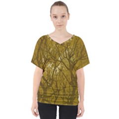 Forest Landscape Illustration 2 V-neck Dolman Drape Top