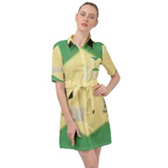 Jamaica, Jamaica  Belted Shirt Dress by Janetaudreywilson
