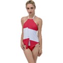Flag of Austria Go with the Flow One Piece Swimsuit View1