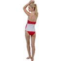 Flag of Austria Go with the Flow One Piece Swimsuit View2