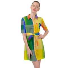 Lgbt Rainbow Buffalo Check Lgbtq Pride Squares Pattern Belted Shirt Dress by yoursparklingshop