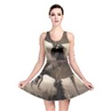 Lord Of The Dragons From Fonebook Reversible Skater Dress View1