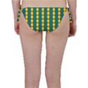 Native American Pattern Bikini Bottom View2