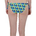 Catmoon Bikini Bottom View2