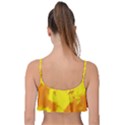 Textureorangejaune Frill Bikini Top View2
