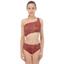 Animalprintfnl1 Spliced Up Two Piece Swimsuit View1