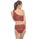 Animalprintfnl1 Spliced Up Two Piece Swimsuit View2
