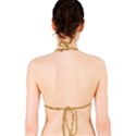 Braid-3232366 960 720 Bikini Top View2