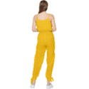 Amber Orange Sleeveless Tie Ankle Jumpsuit View2