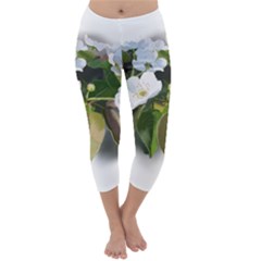 F69ccc07-4684-4c4d-951f-7f1801ec955e Capri Winter Leggings 