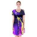 Garth Short Sleeve V-neck Flare Dress View1