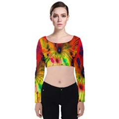 Color-background-structure-lines Velvet Long Sleeve Crop Top