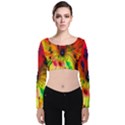 Color-background-structure-lines Velvet Long Sleeve Crop Top View1