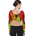 Color-background-structure-lines Velvet Long Sleeve Crop Top View2