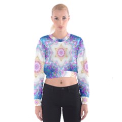 Image3a140522 Mirror Cropped Sweatshirt