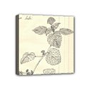 lemon balm Mini Canvas 4  x 4  (Stretched) View1