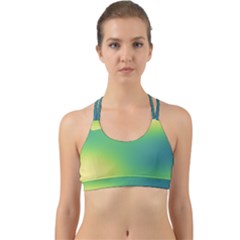 Gradientcolors Back Web Sports Bra