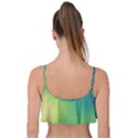 Gradientcolors Frill Bikini Top View2