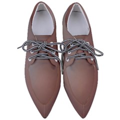 Camera Art Color Pointed Oxford Shoes
