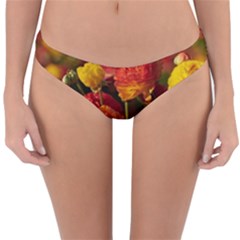 Vered-caspi-orlqbmy1om8-unsplash Reversible Hipster Bikini Bottoms