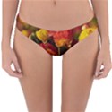Vered-caspi-orlqbmy1om8-unsplash Reversible Hipster Bikini Bottoms View1