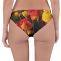Vered-caspi-orlqbmy1om8-unsplash Reversible Hipster Bikini Bottoms View4