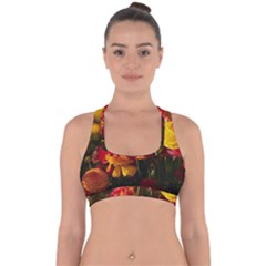 Vered-caspi-orlqbmy1om8-unsplash Cross Back Hipster Bikini Top 