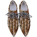 E380e471-c64d-409b-8d9d-1c190b9d4516 Pointed Oxford Shoes View1