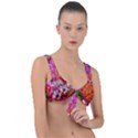 Backgrounderaser 20220425 173842383 Backgrounderaser 20220427 131956690 Front Tie Bikini Top View1