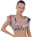 Vintage-drawn-insect-seamless-pattern Plunge Frill Sleeve Bikini Top View1