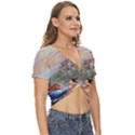Beauty And The Beast Castle Twist Front Crop Top View3