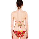 Watermelon Classic Bikini Set View2